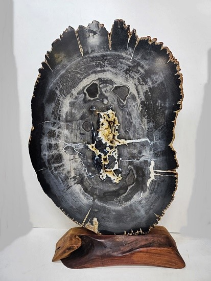 수석/나무화석/수석