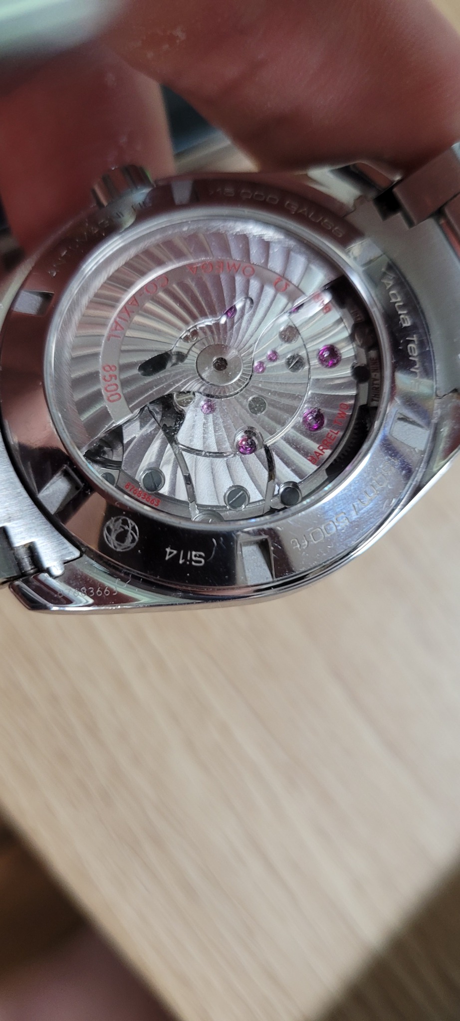 오메가 아쿠아테라 가격다운