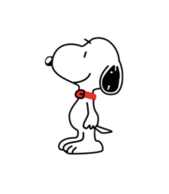 여아 래쉬가드 세트 일괄