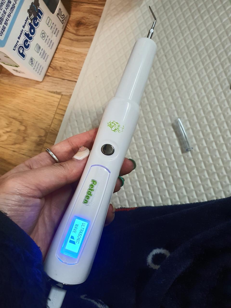 펫덴 애견 스케일러 물없이하는 스케일러