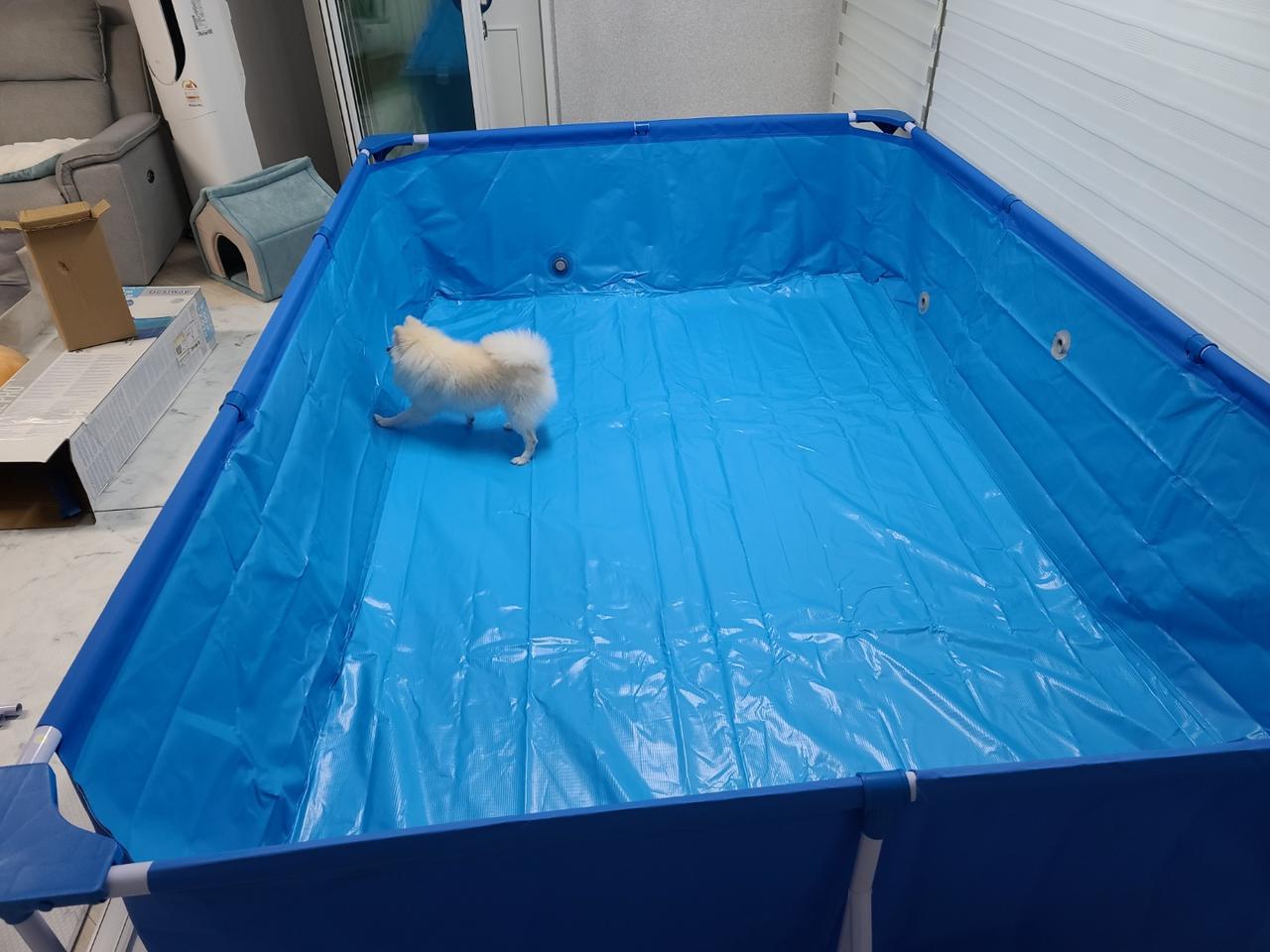 패밀리 풀장 수영장