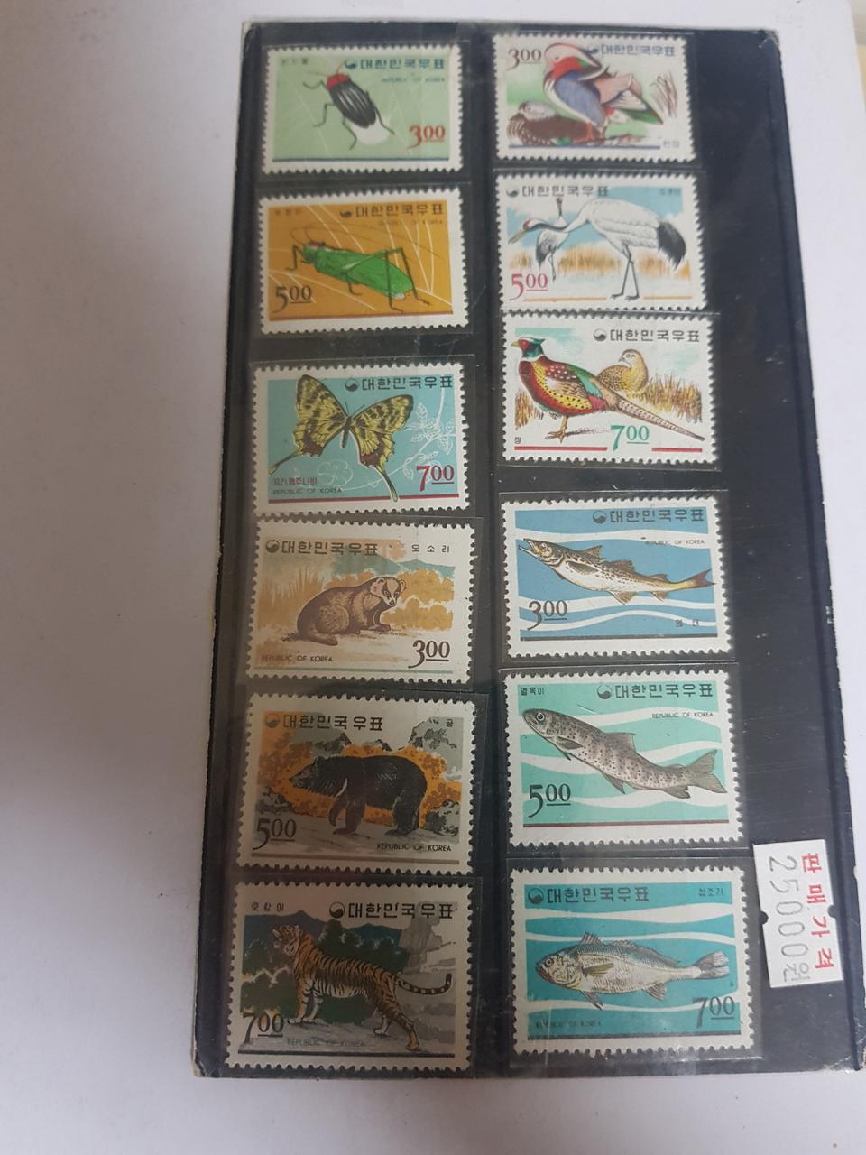 동물시리즈단편12종