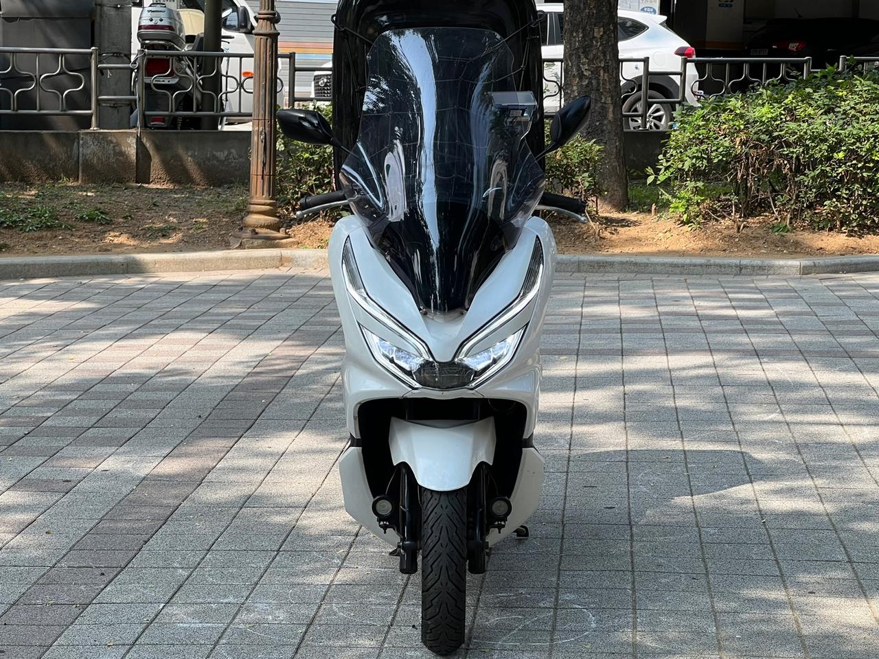 더뉴 PCX 19년 요시무라구변OK 컨디션 좋은 차량 네고없이 급매