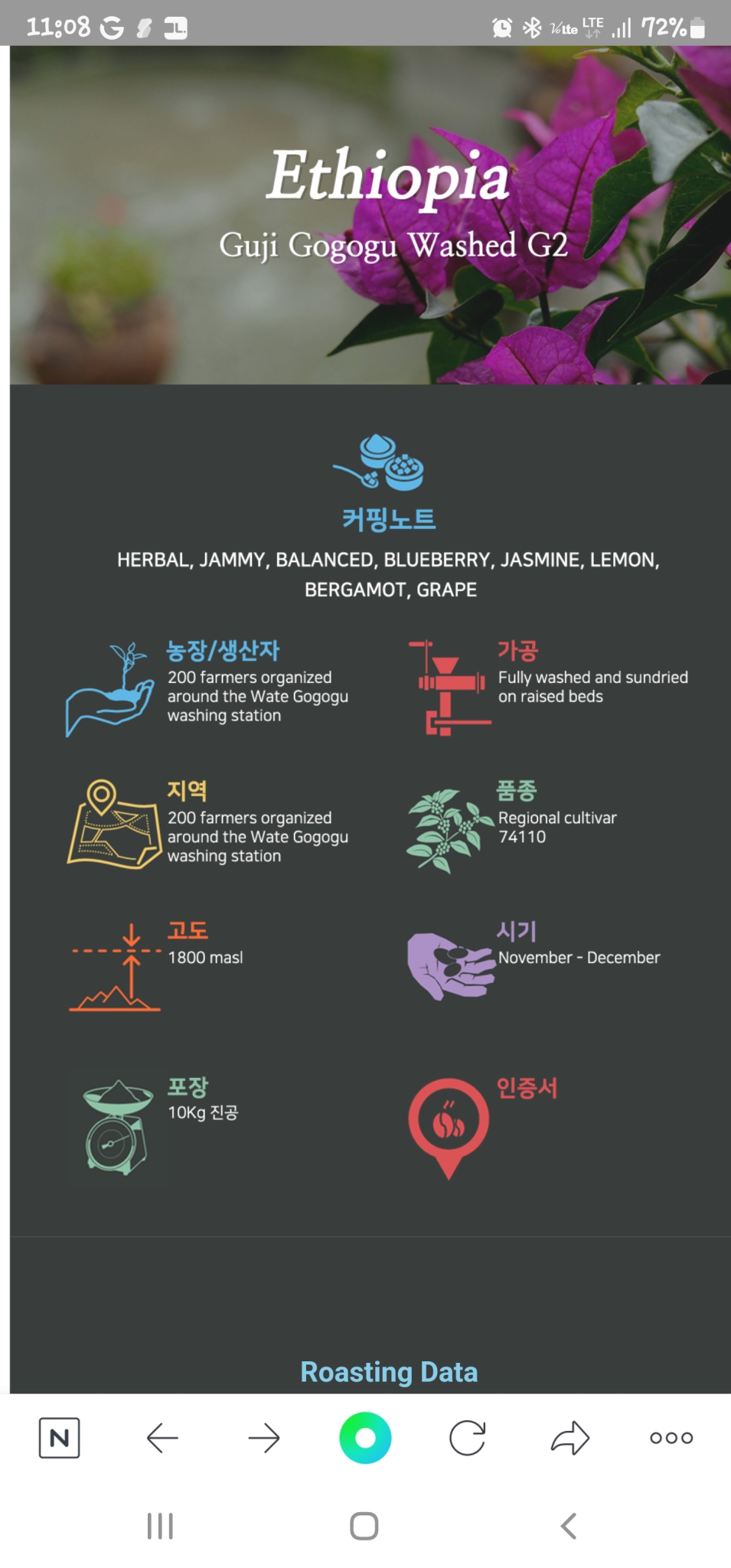 에티오피아 고고드 워시드 G2