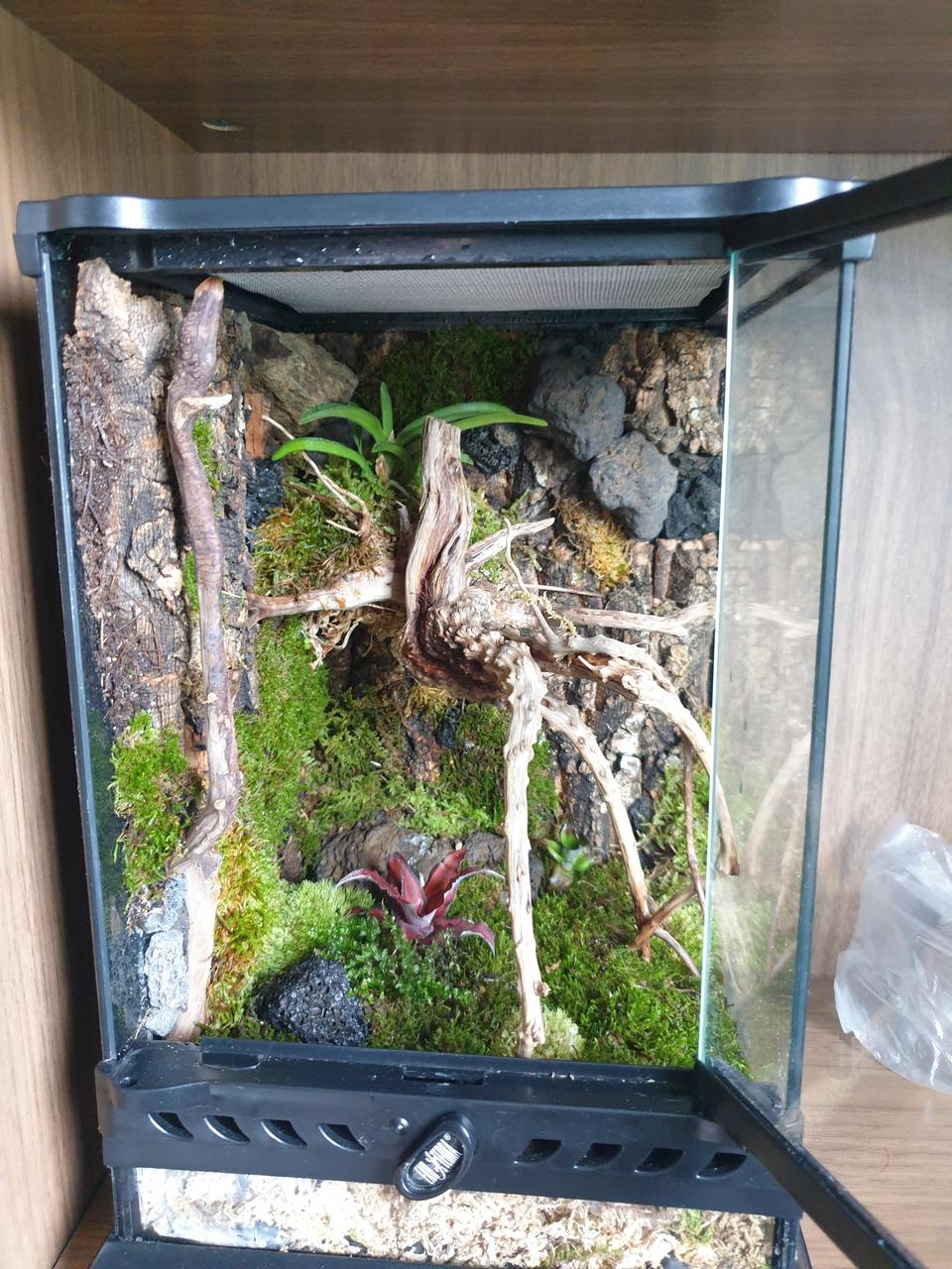 비바리움 (크레사육장)