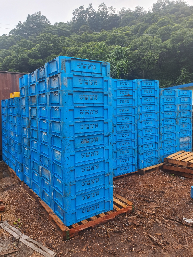 프라스틱상자 1000 개