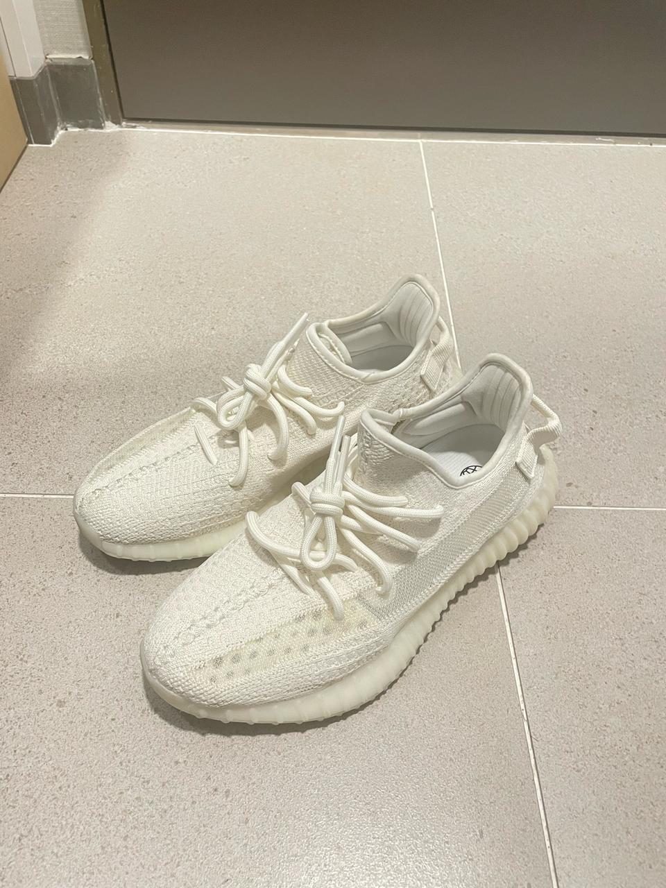 이지부스트 본 급쳐!