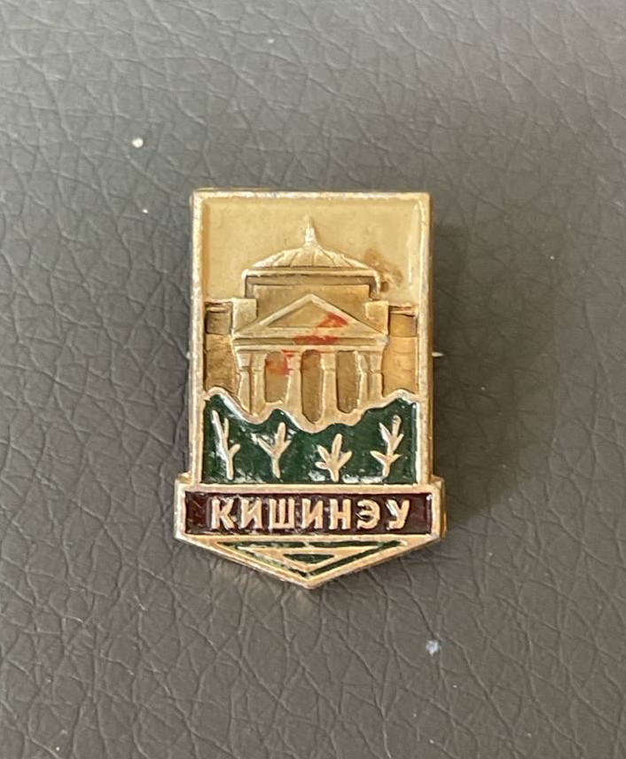 구제 진품 뱃지