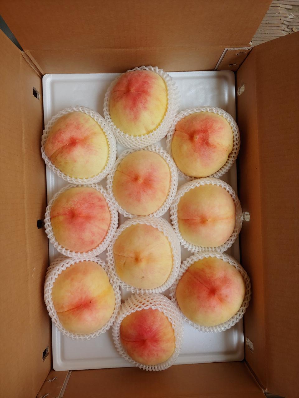 원주 치악산 복숭아