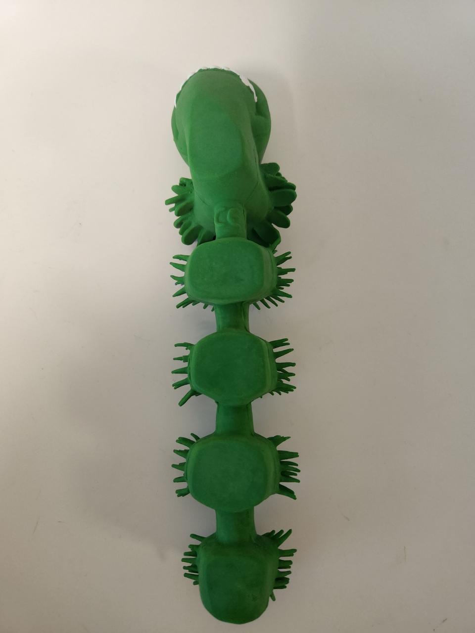 반려견장난감: 노아샵 용쭉이