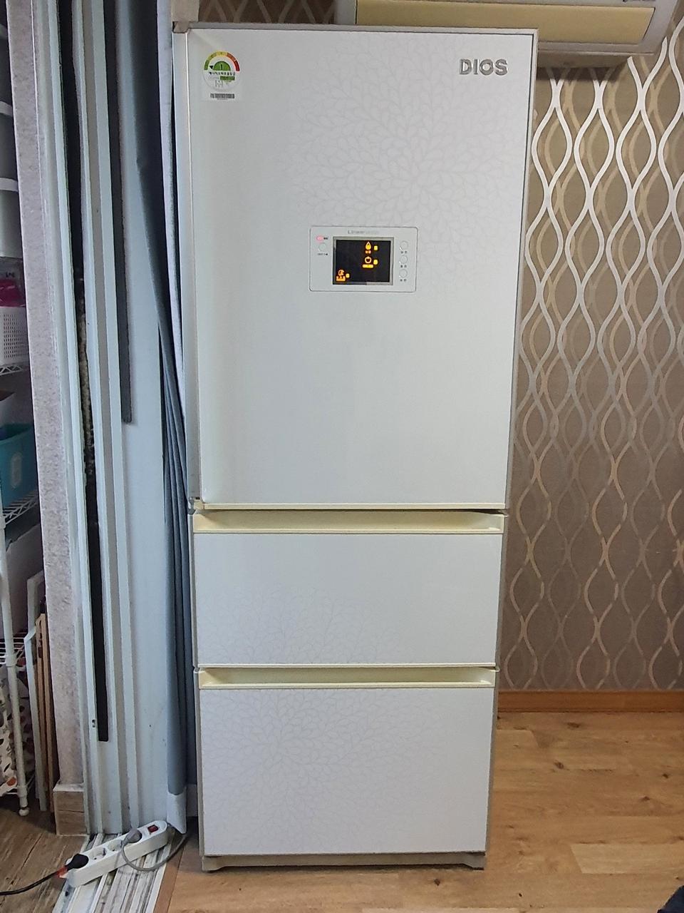 LG전자 디오스 김치톡톡 310L