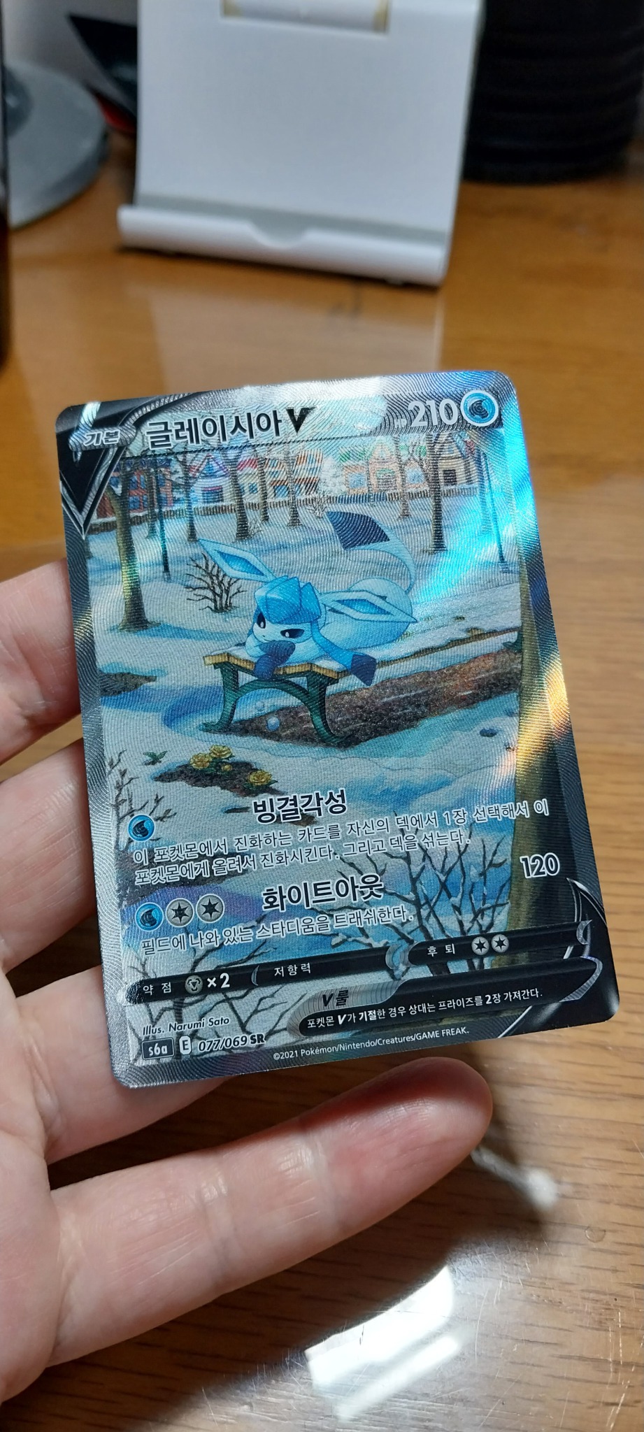 글레이시아 v 특일