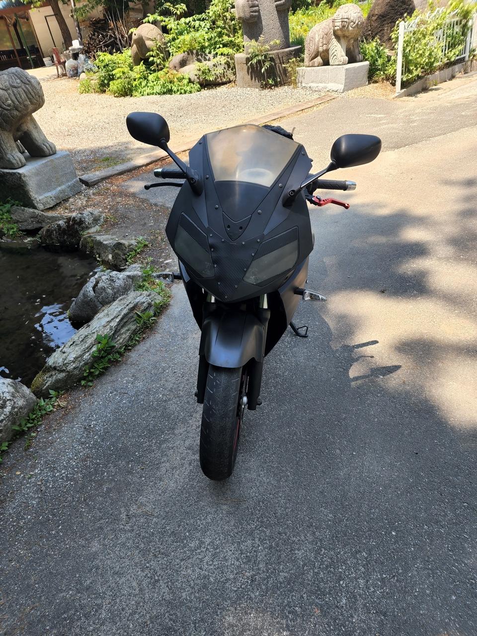 펄아이 250 10년식