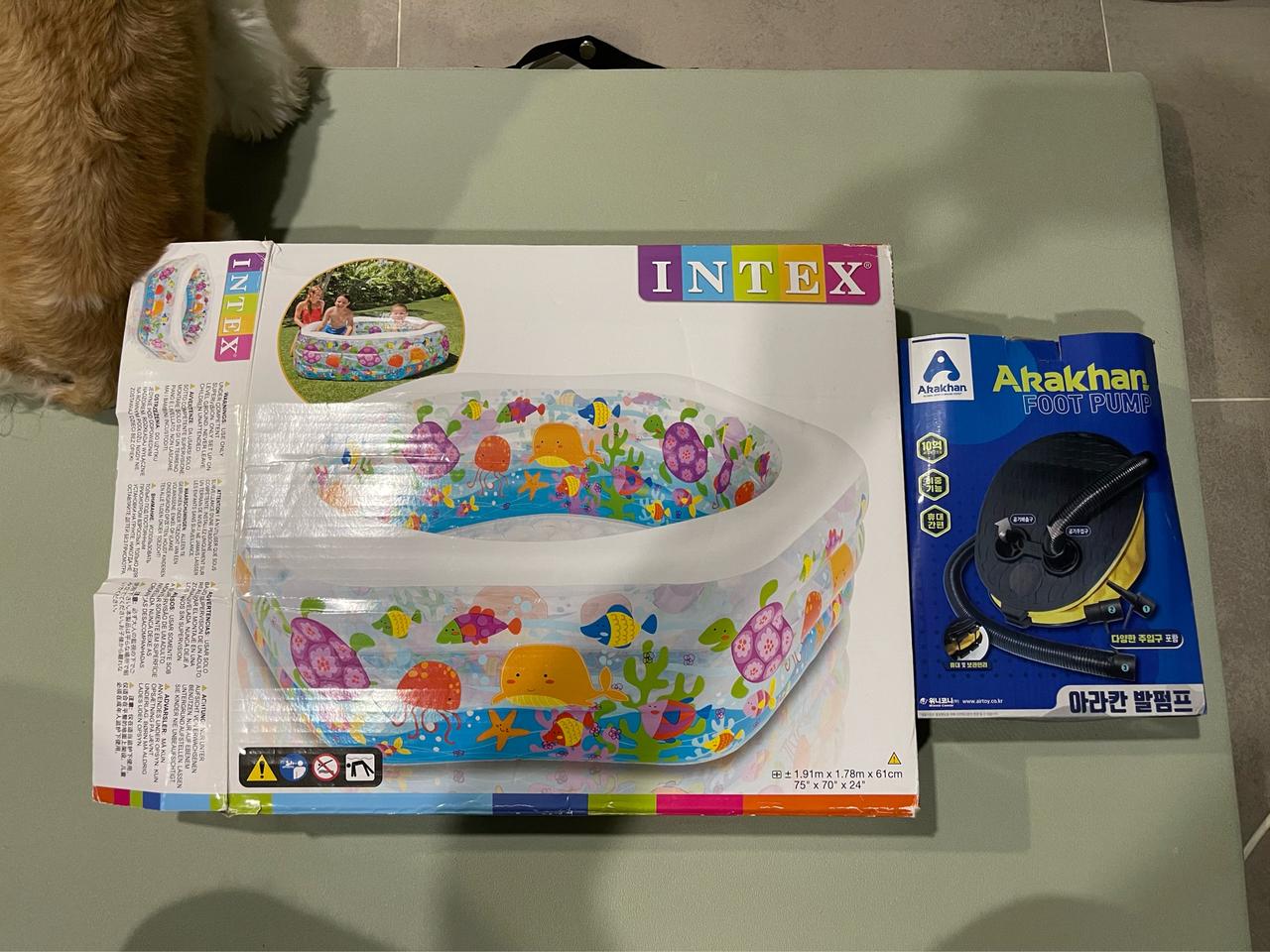 인텍스 육각 오션 수영장 유아 어린이 물놀이 미니 풀장