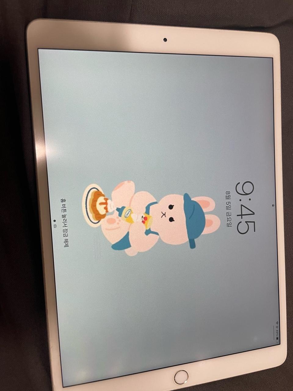 아이패드 에어3