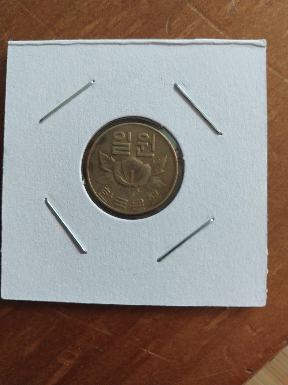 1966년 초년 일주