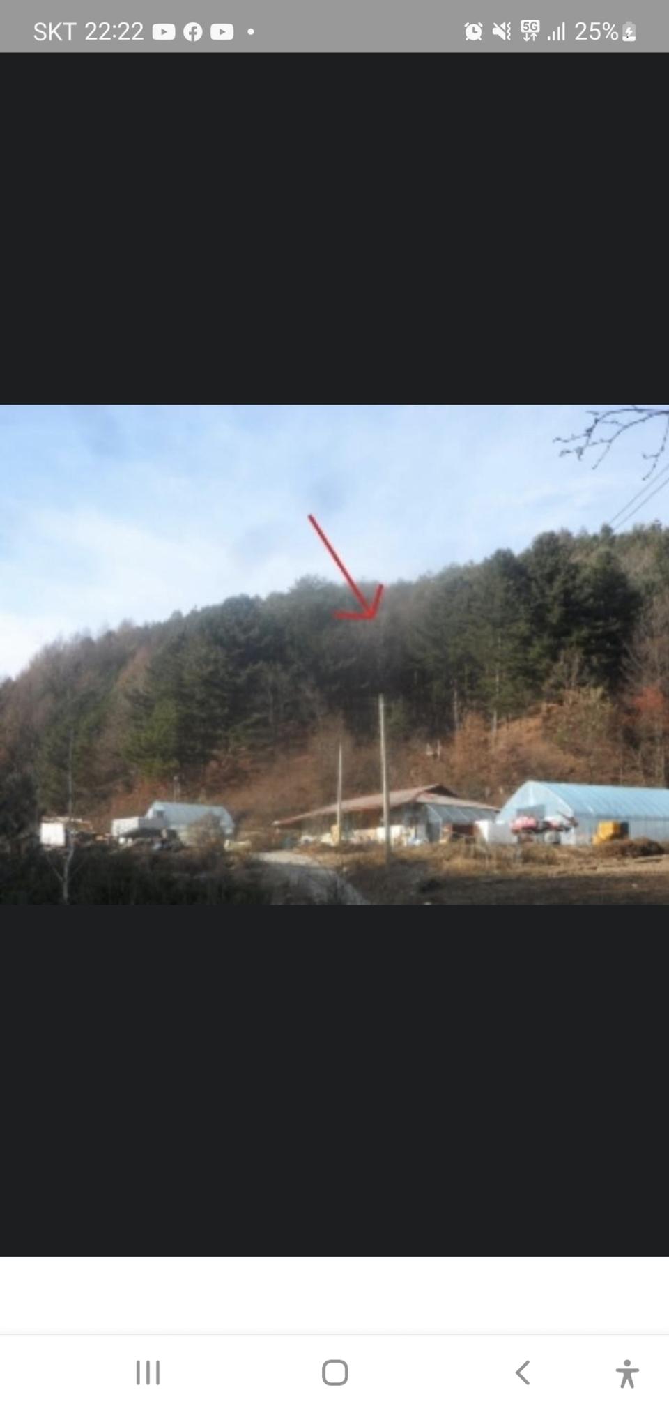 강원도 평창군 봉평 무이리 98-22 임야 500평