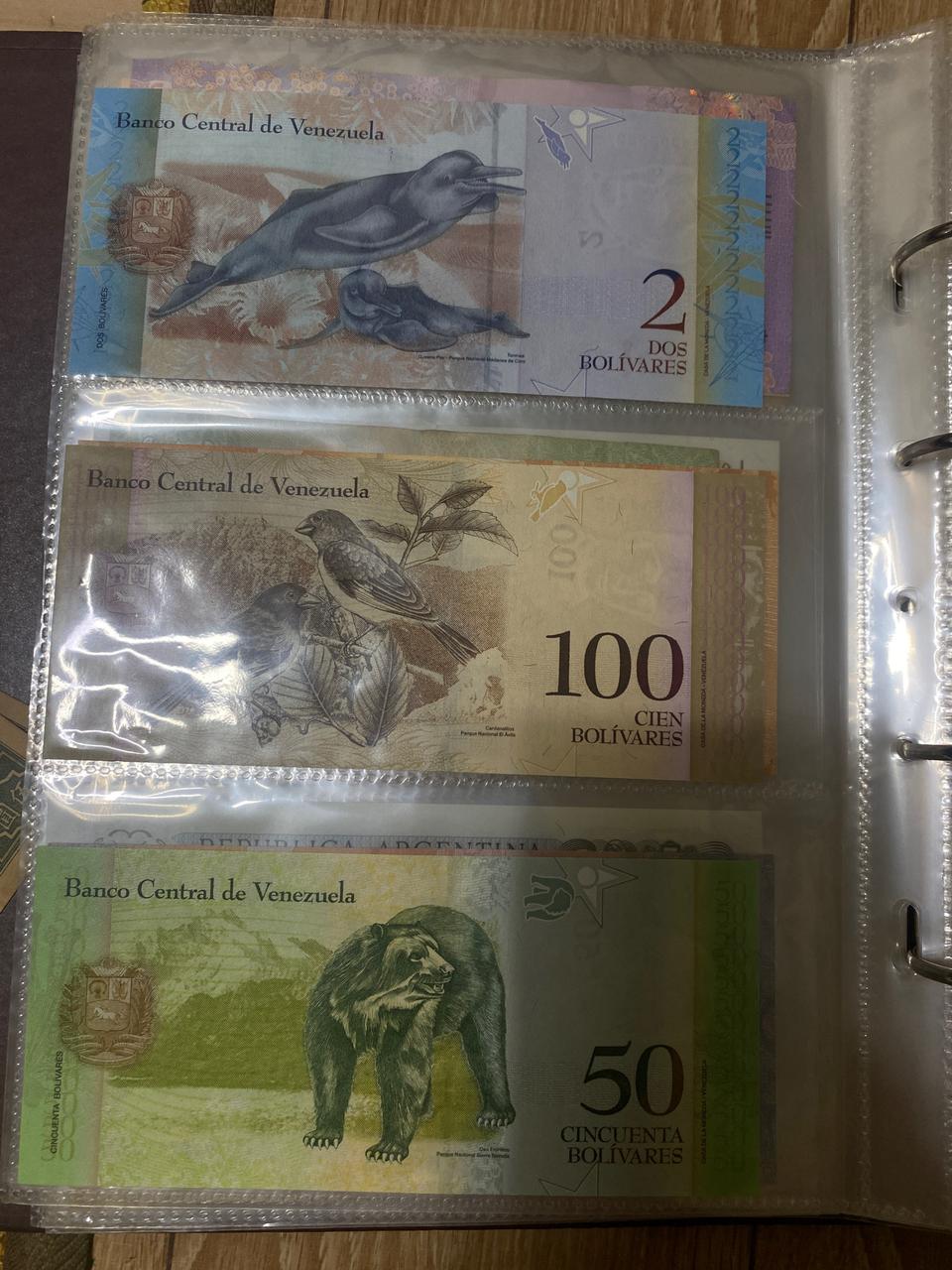 베네수엘라 지폐 세트 6종 일괄