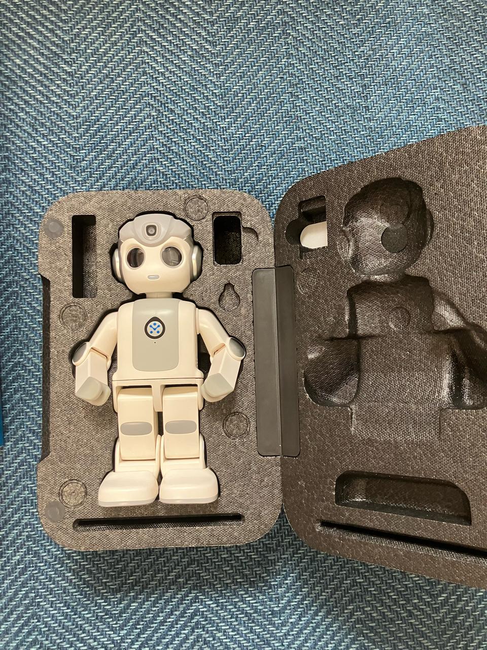 알파 미니 로봇 AI