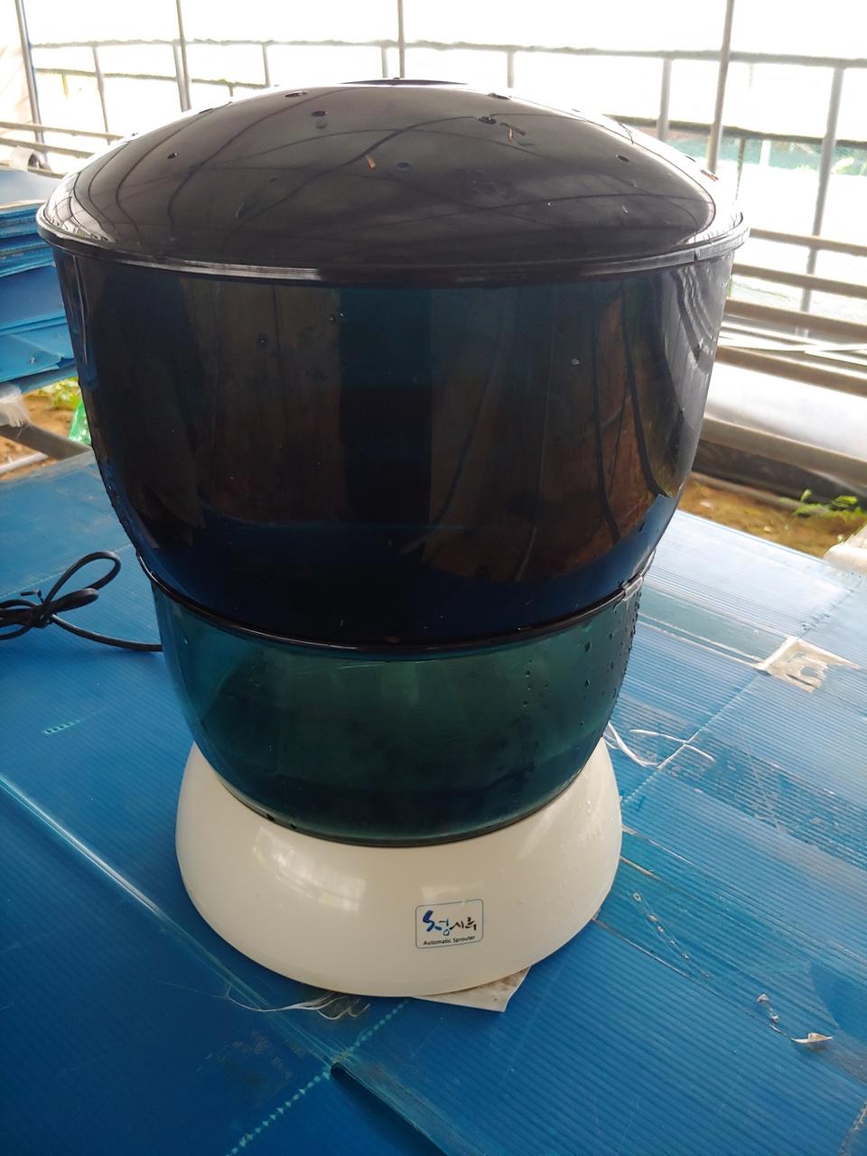 청시루콩나물재배기