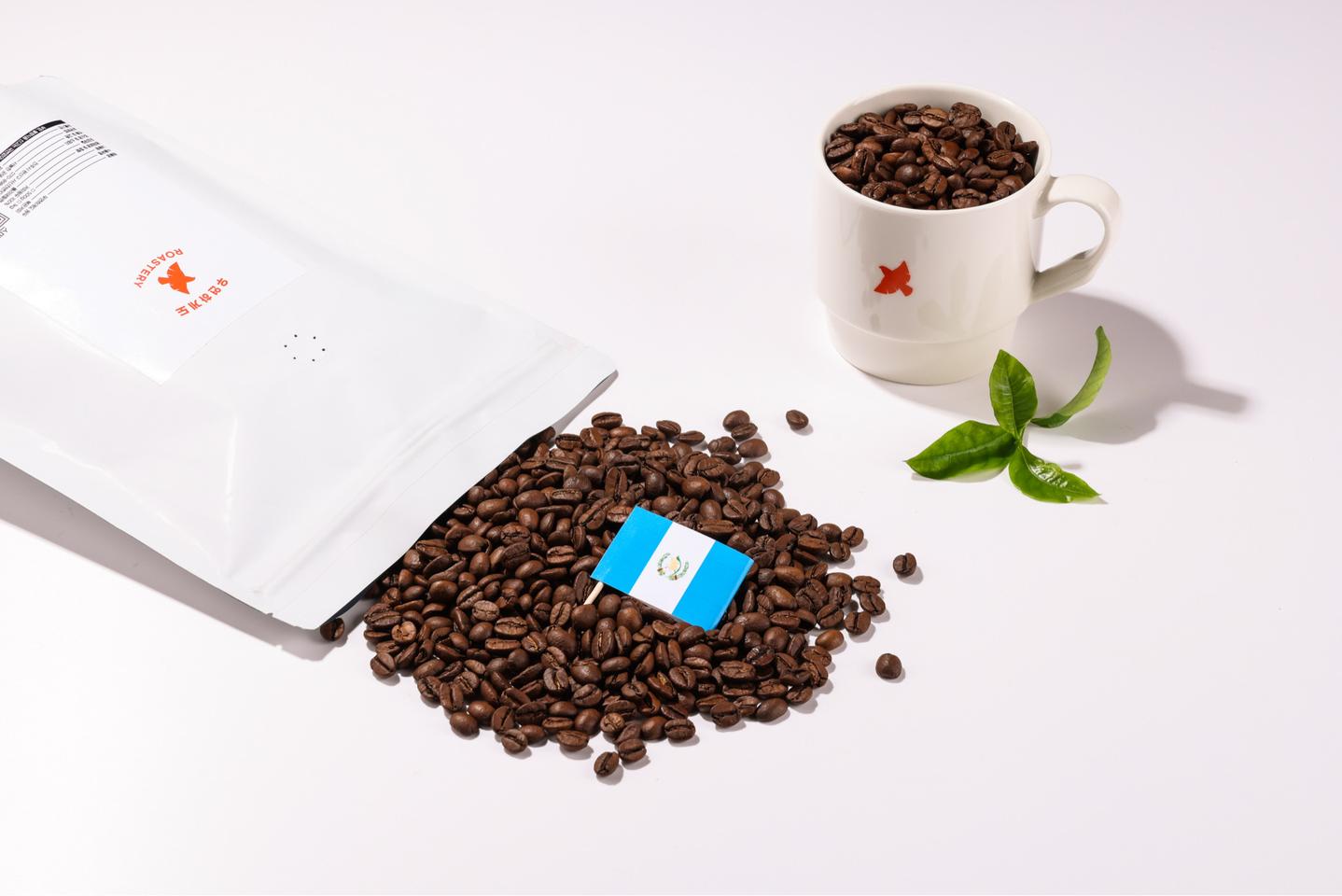 과테말라 안티구아 원두 1kg