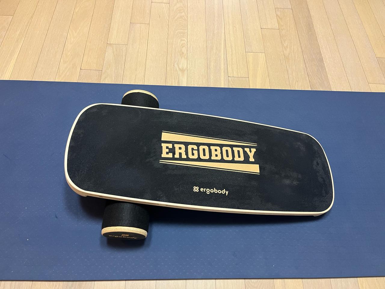 에르고바디 밸런스보드 판매