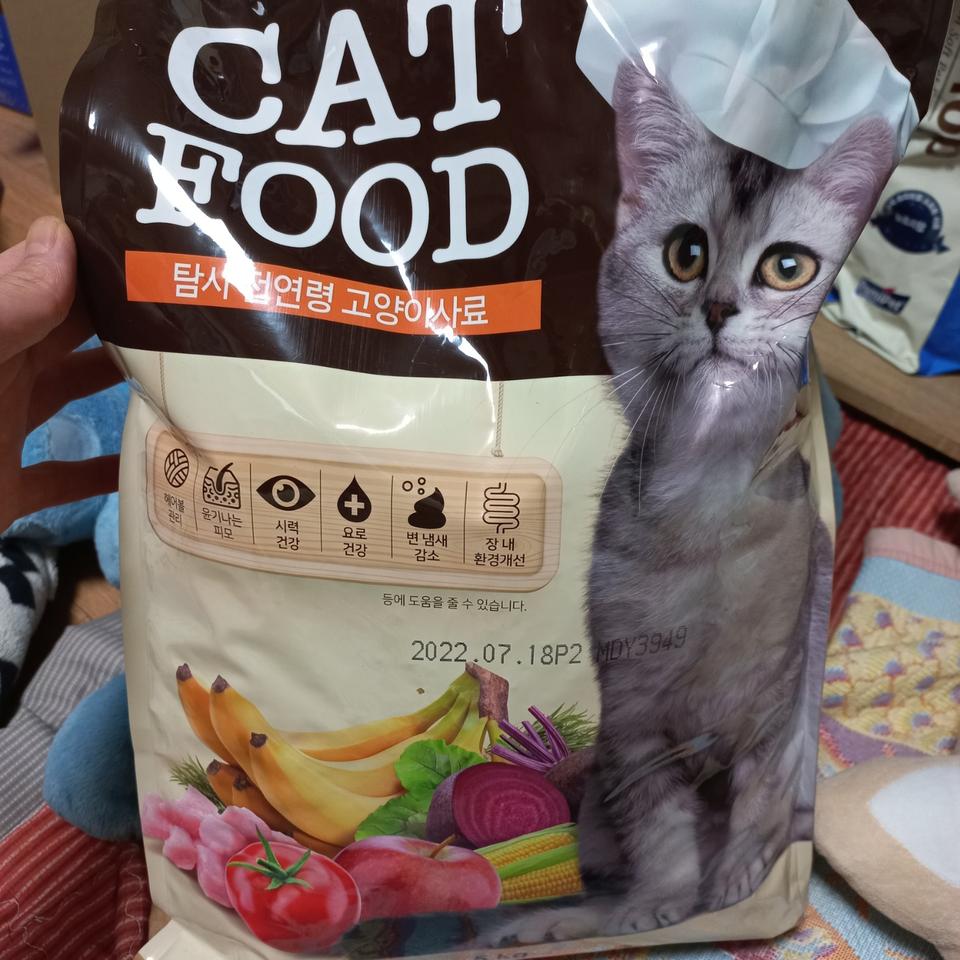 고양이사료