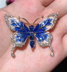 블루나비 브로치
