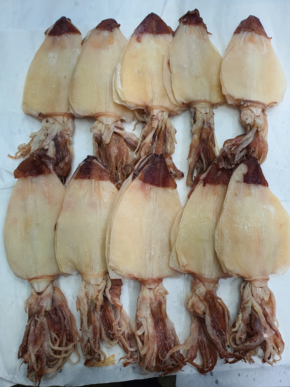 새상품) 신선쫄깃한 특대사이즈 부드러운 반건조한치 - (25마리)