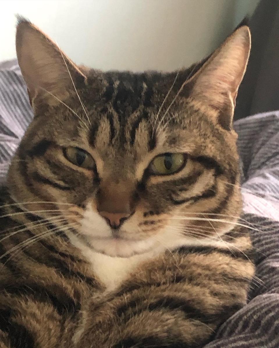 이아름님 카결창