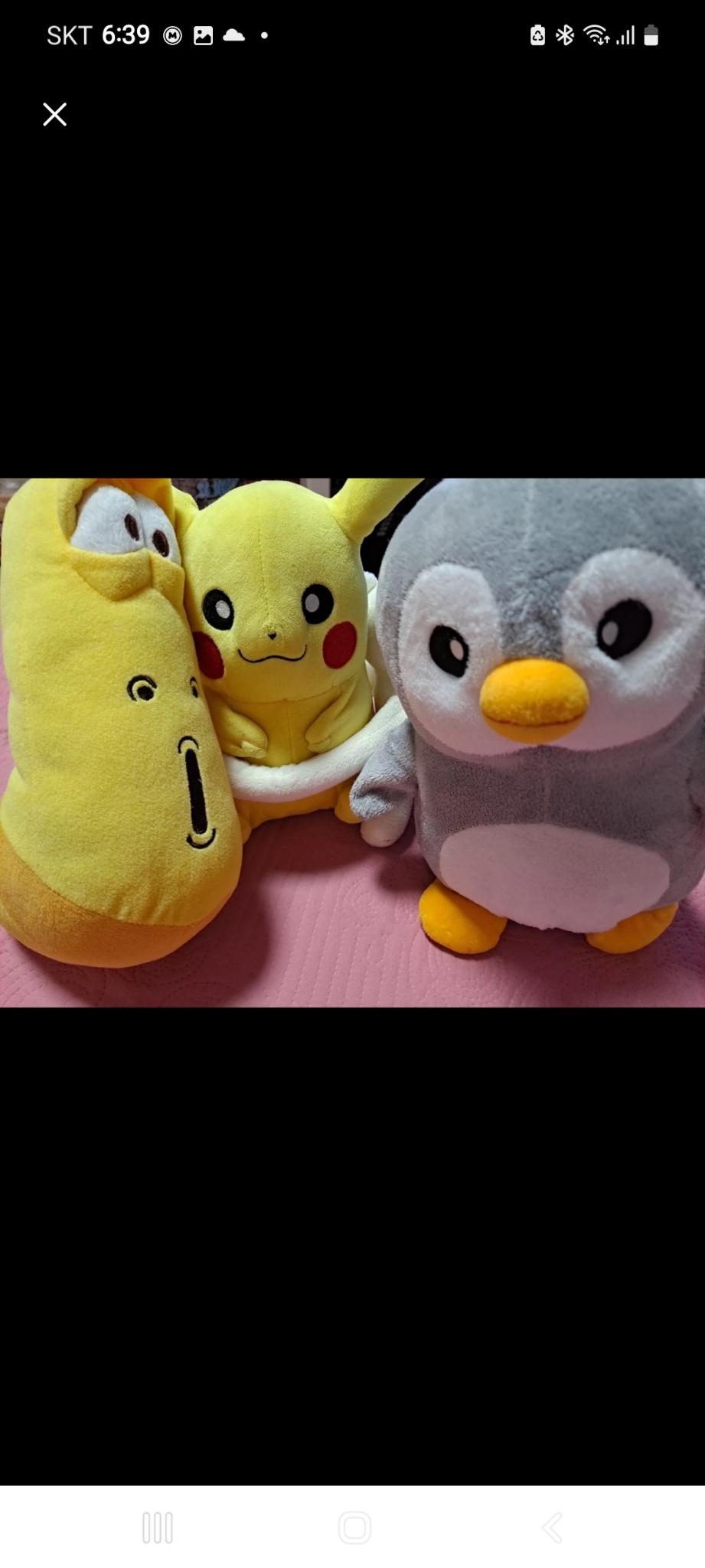 피카츄 펭귄 라바