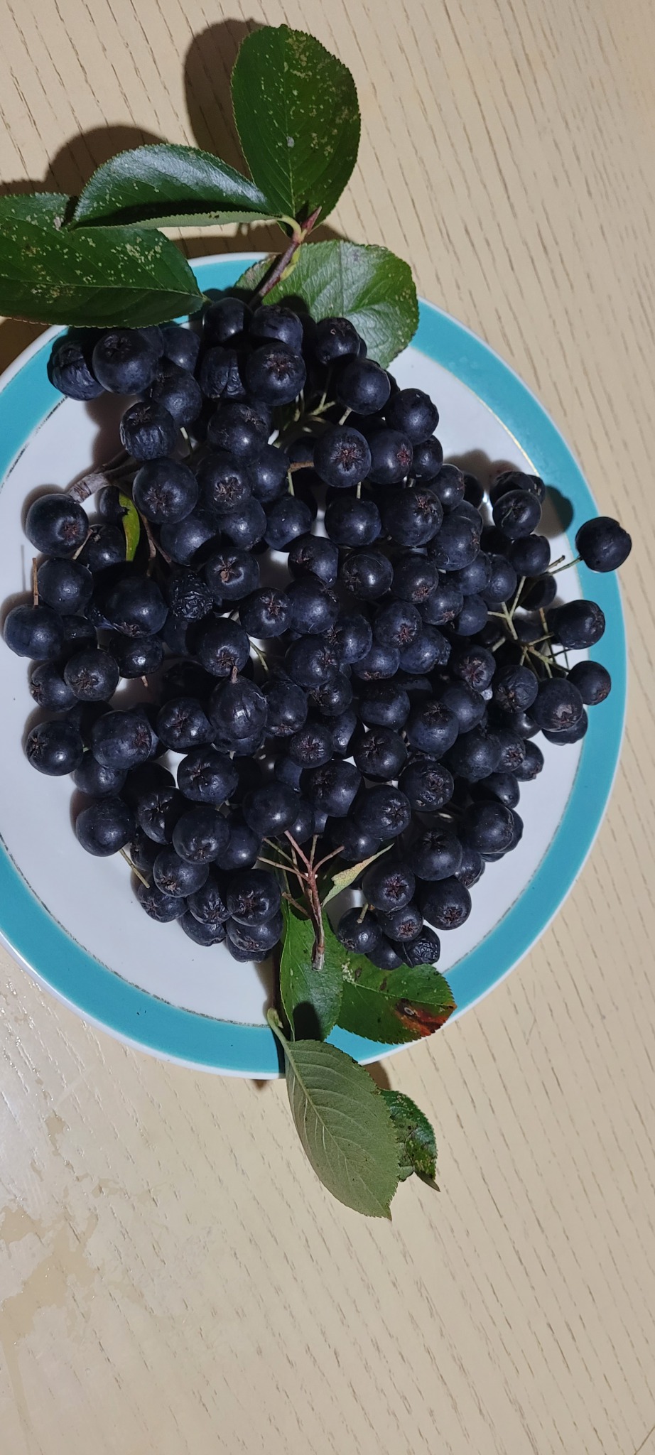 생아로니아 400g