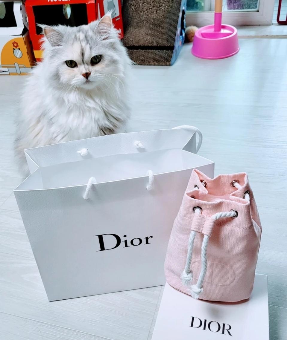 (정품)디올뷰티 핑크 파우치(새상품)