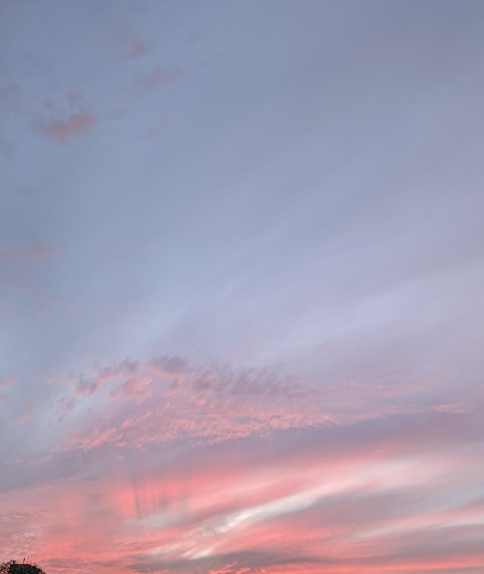 에버랜드 자유이용권 종일권 2매(대/소인 공통)