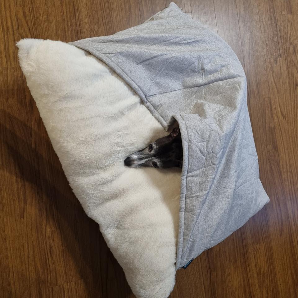 이탈리안 그레이하운드 마약방석 침대