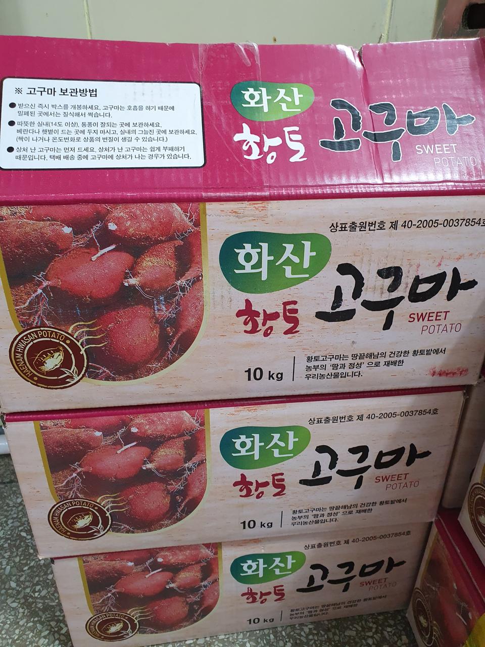 고구마(해남황토)특가세일