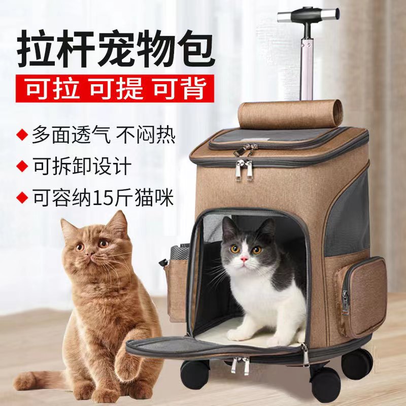 고양이강아지케리어