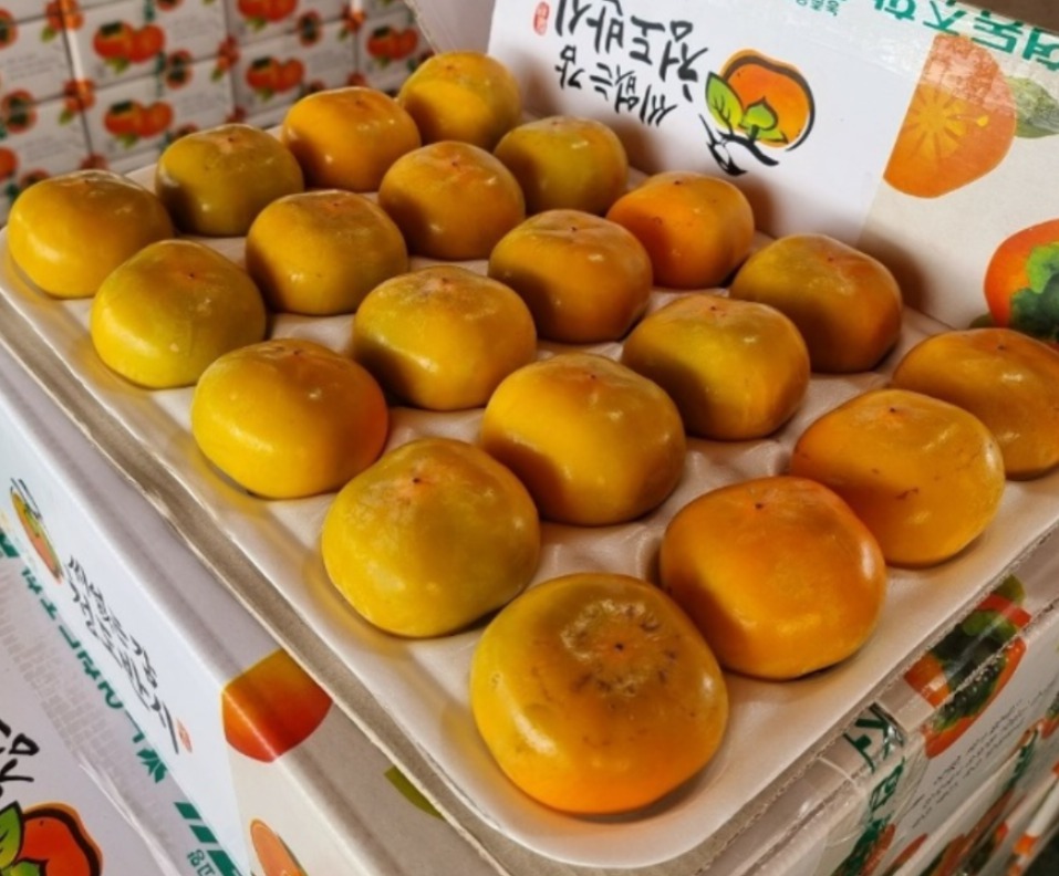 씨없는 청도반시 20과