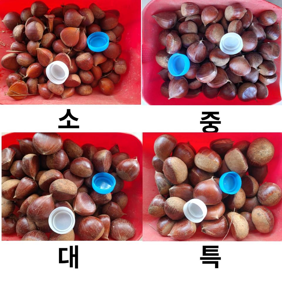 옥광 특 사이즈 4kg