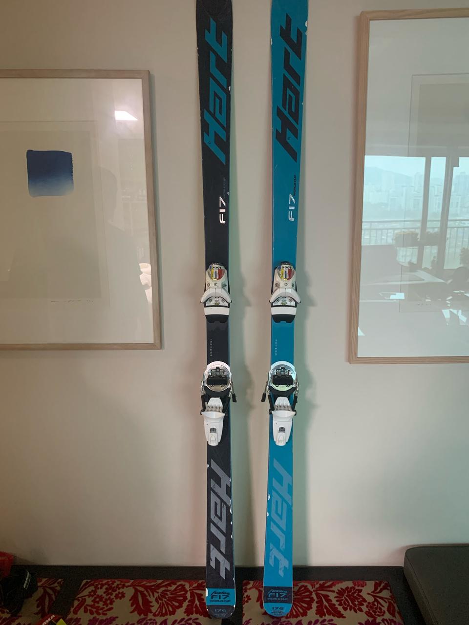 하트(HART) F17 176cm 모글스키