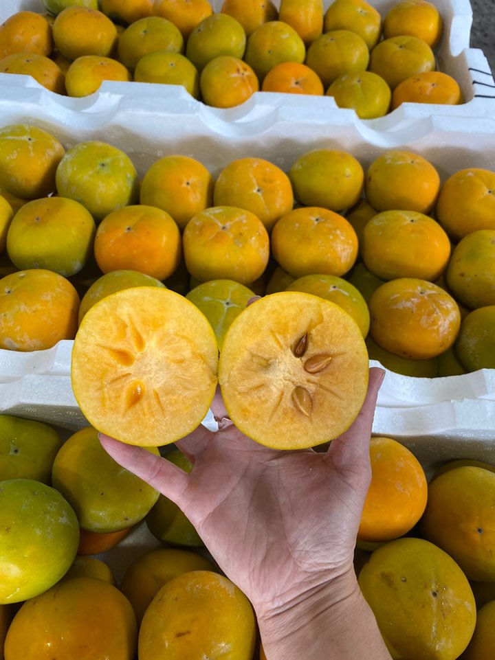 단감 판매합니다