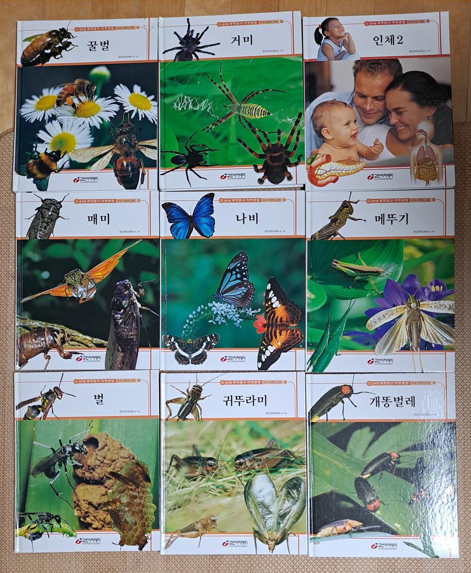 가격내림:교연아카데미