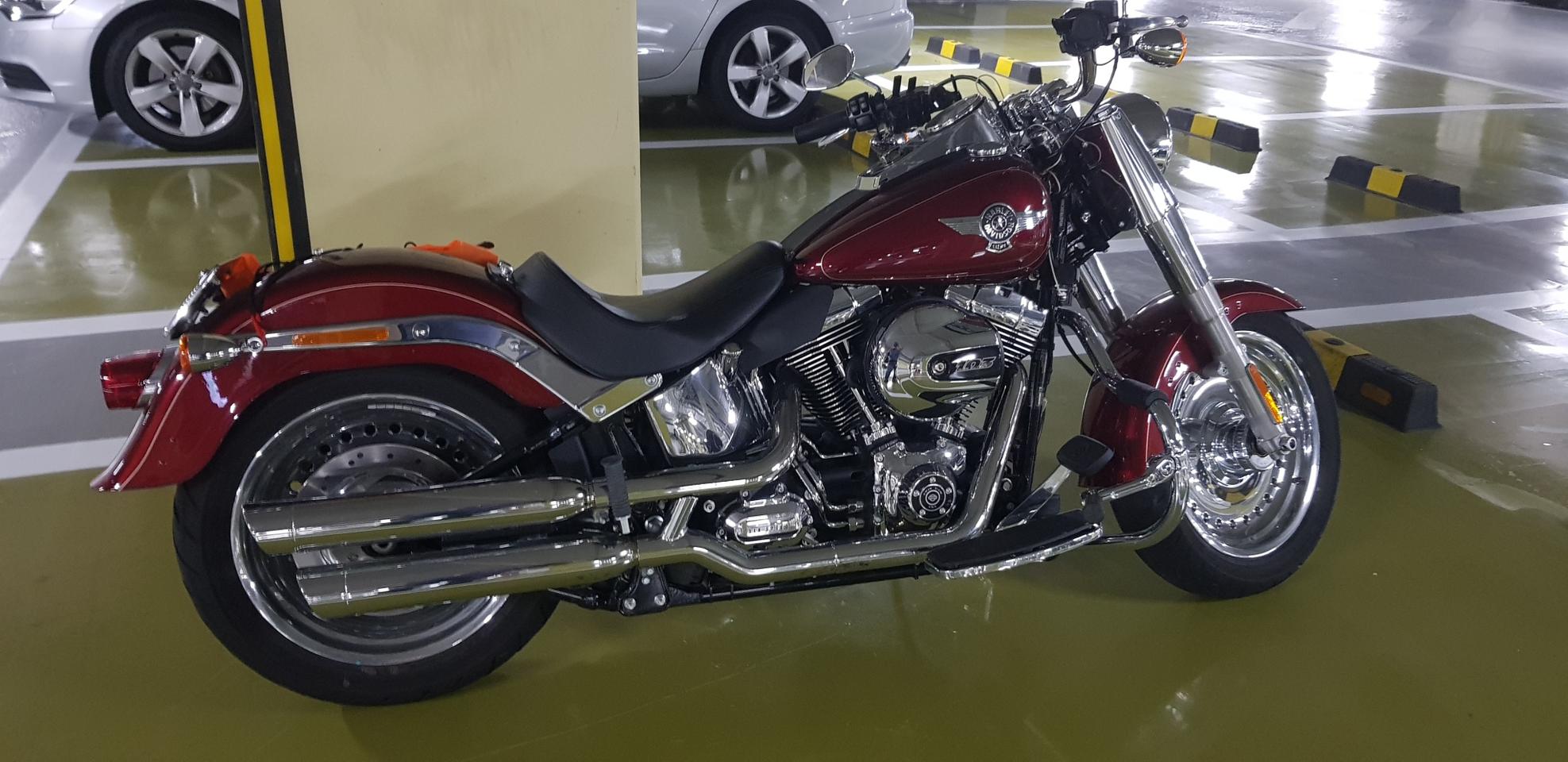 할리 바이크  팻보이