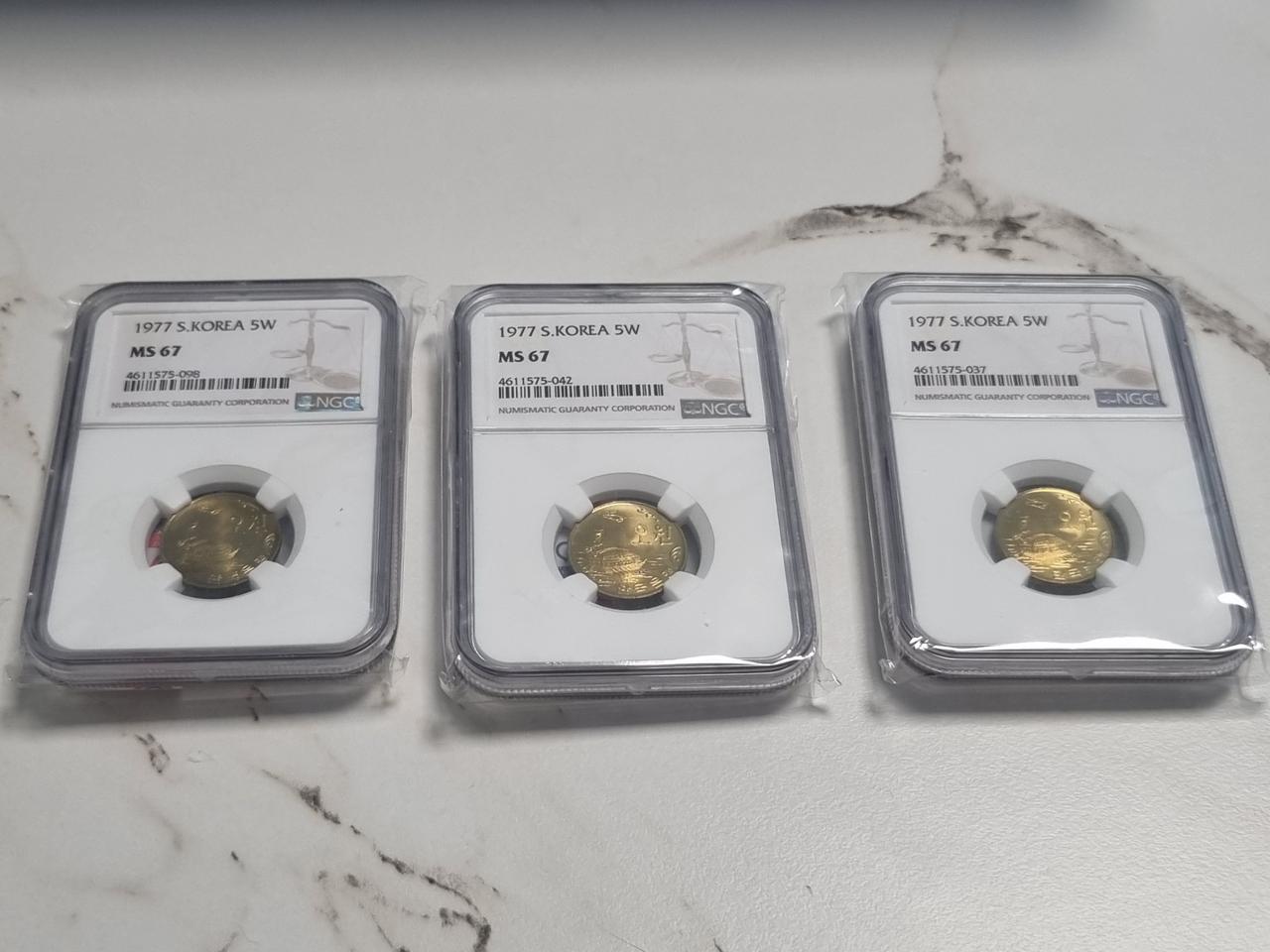 77년 5주 67등급 특년도