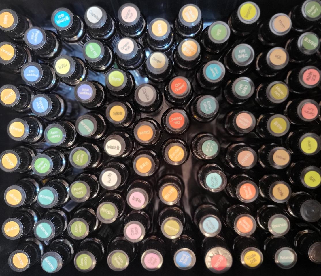 도테라오일/도테라아로마/도테라터치