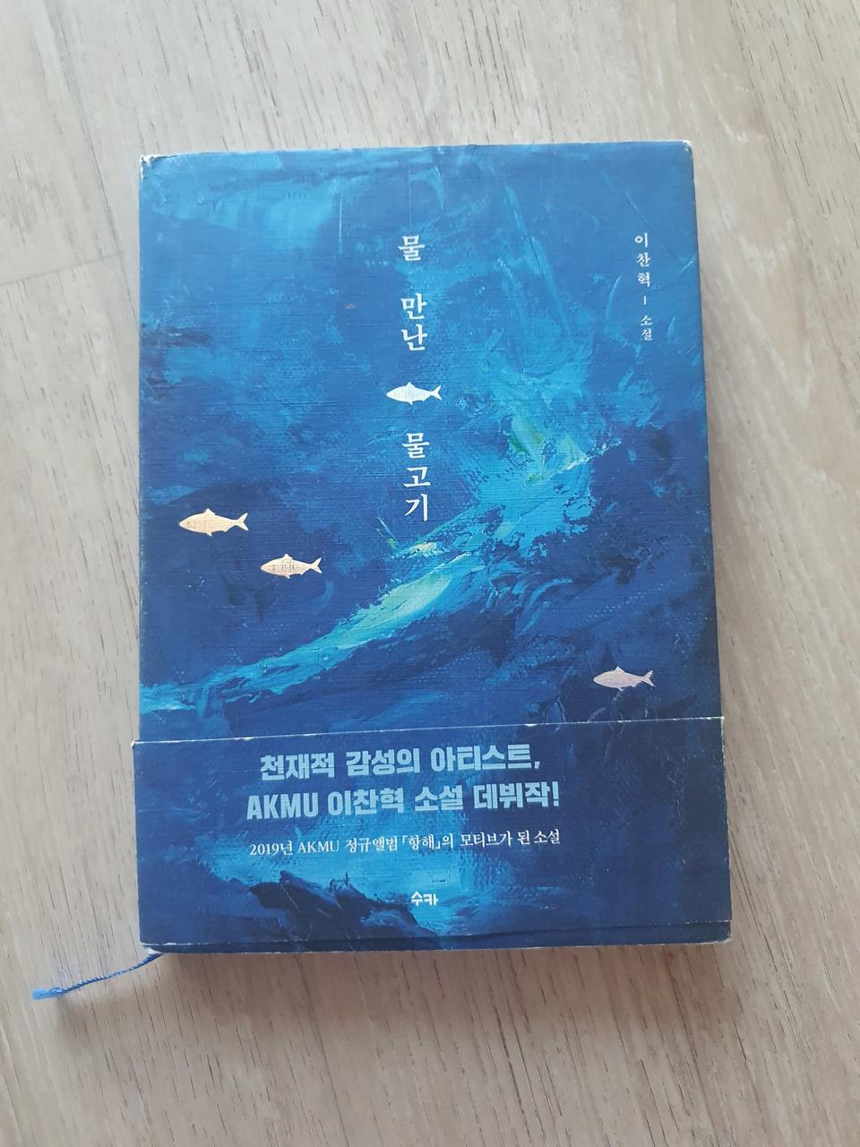 물만난물고기 소설책 이찬혁