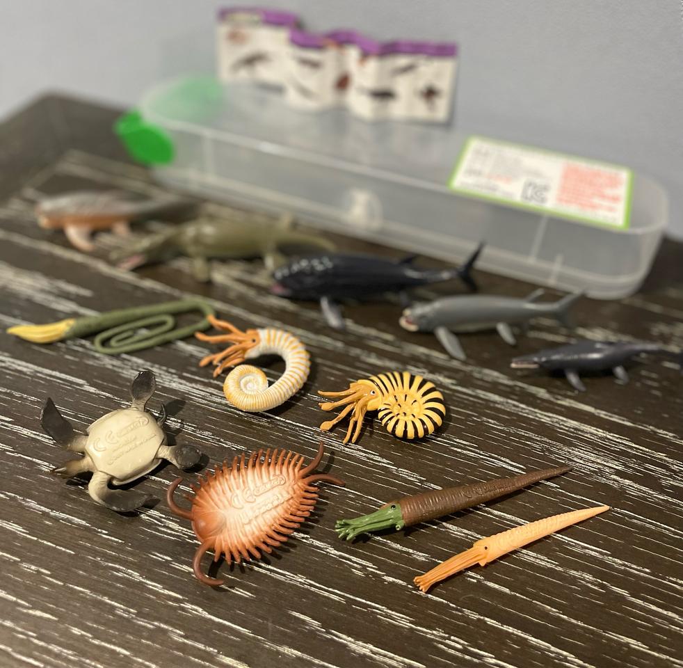 컬렉타 고대생물 세트