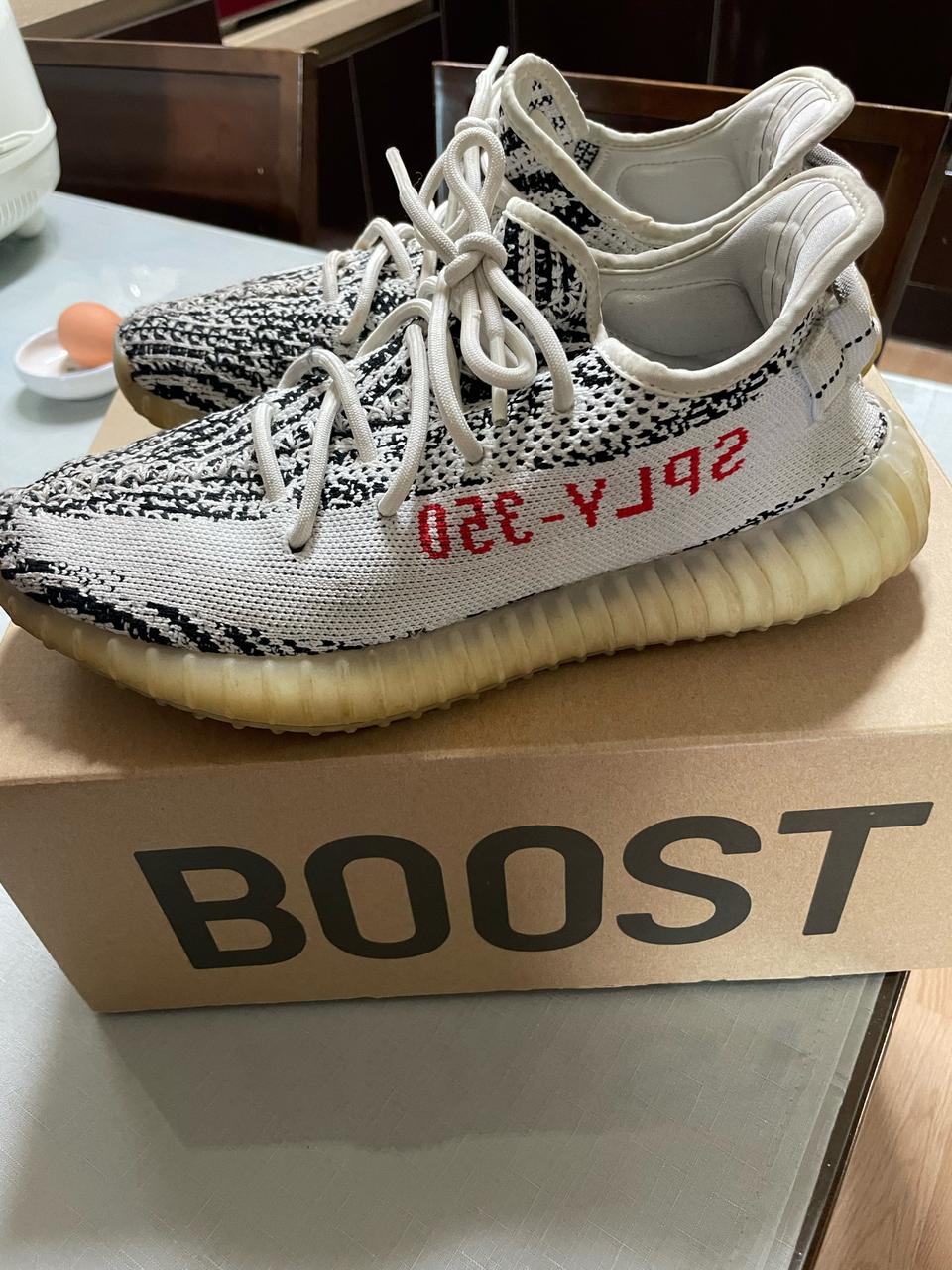 이지부스트 지브라 250