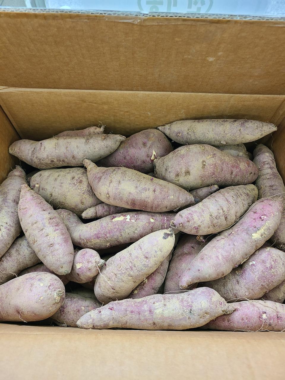 안동꿀고구마10kg