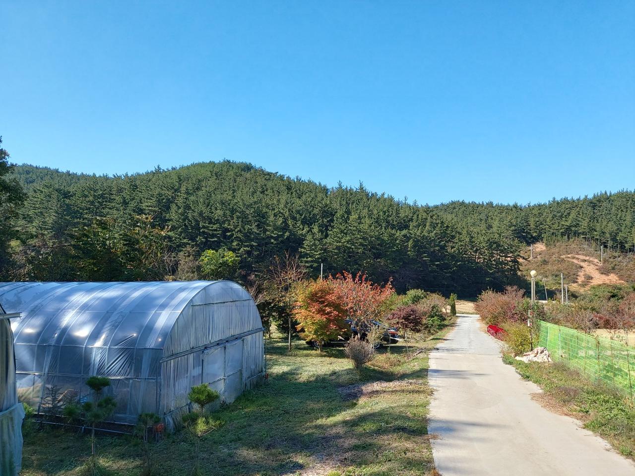 태안 토지와 주택매매, 부동산, 1000평)